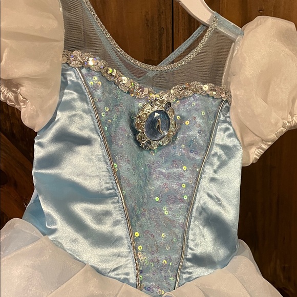 Cinderella Disney Costume - Picture 2 of 5
